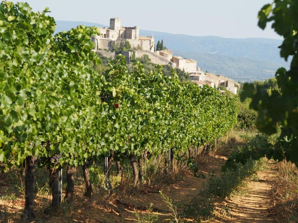 De La Lause 3* Le Barroux